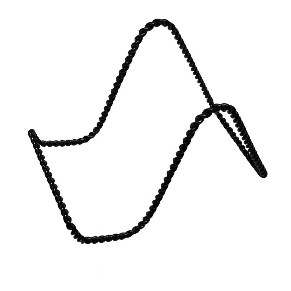Elegant Black Twisted Metal Stand for Books or Pictures